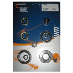 Jeu de joints spi moteur...