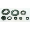 Jeu de joints spi moteur TOURMAX