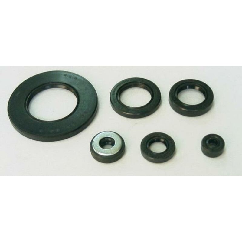 Jeu de joints spi moteur TOURMAX