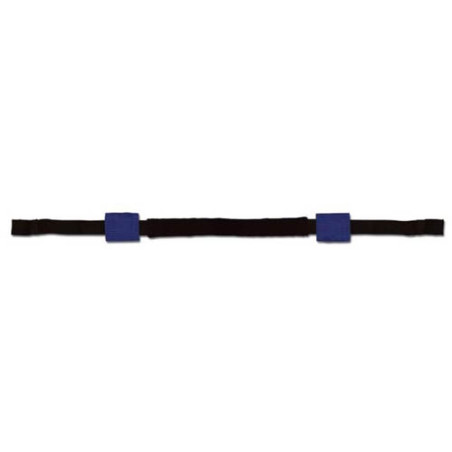 Elingues de Guidon