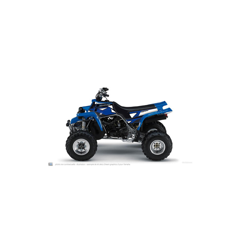 Kit Déco BlackBird Dream 2 YFM 660R