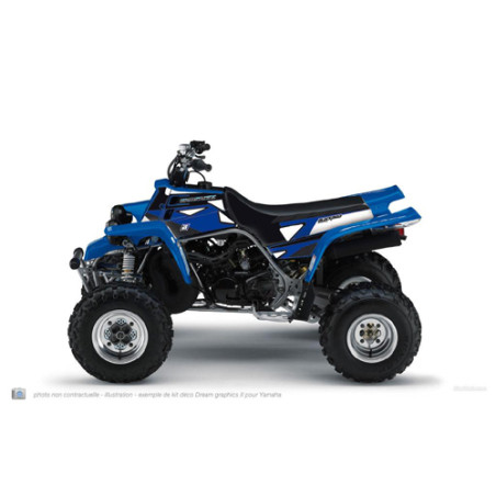 Kit Déco BlackBird Dream 2 YFM 660R