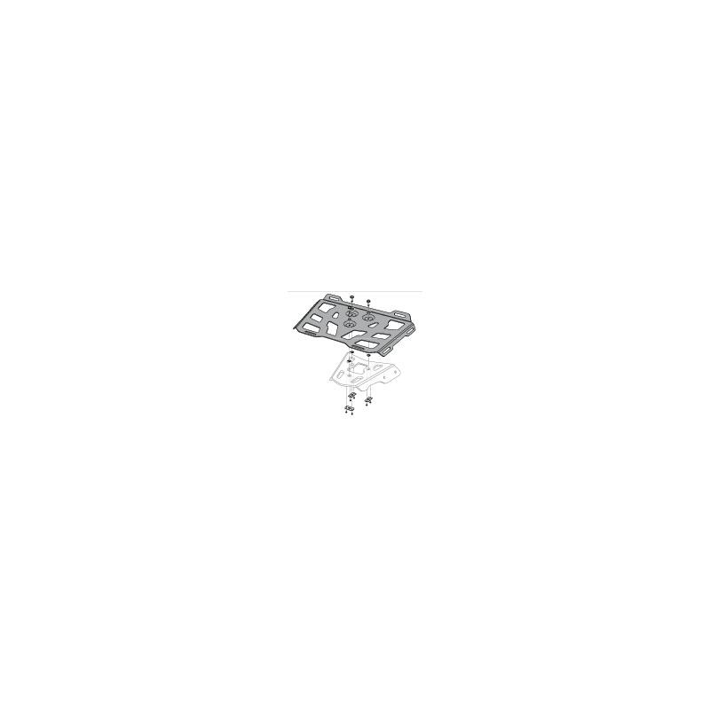Support de Plaque RG pour YAMAHA YZF-R1