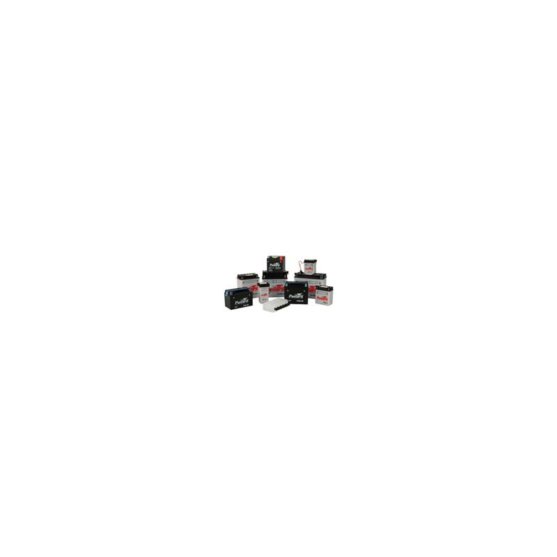 Batterie YB12AL-A2