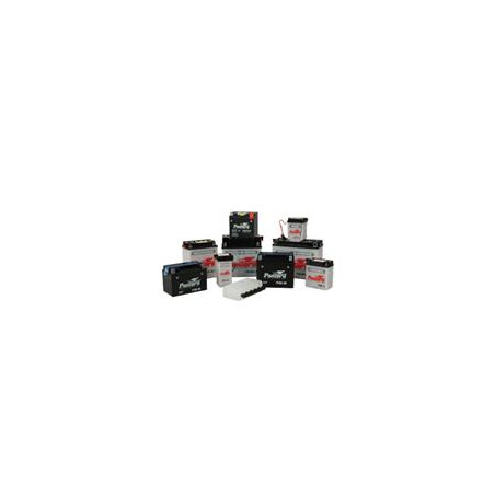 Batterie YB12AL-A2