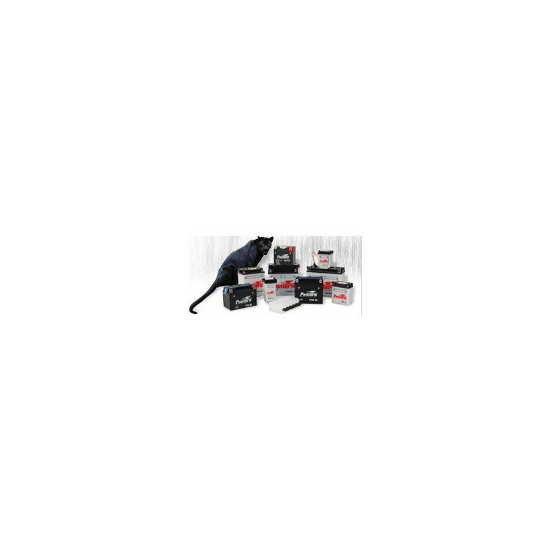 Batterie YB12AL-A