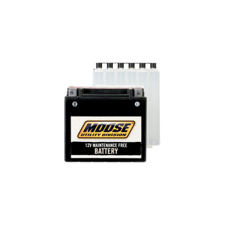 Batterie YTX14AH-BS