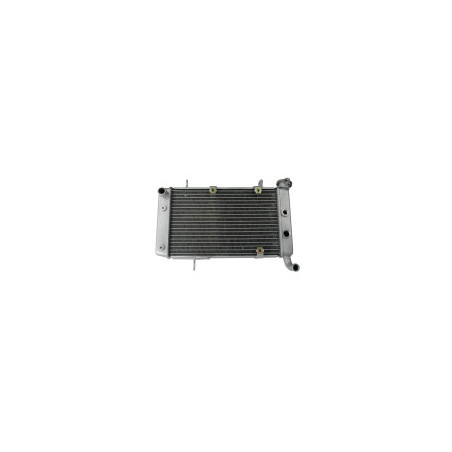 Radiateur Capacité d Origine 400 DVX Artic cat