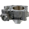 Cylindre Moose RZR XP 1000 14-16 / XP4 1000 15-16 Polaris