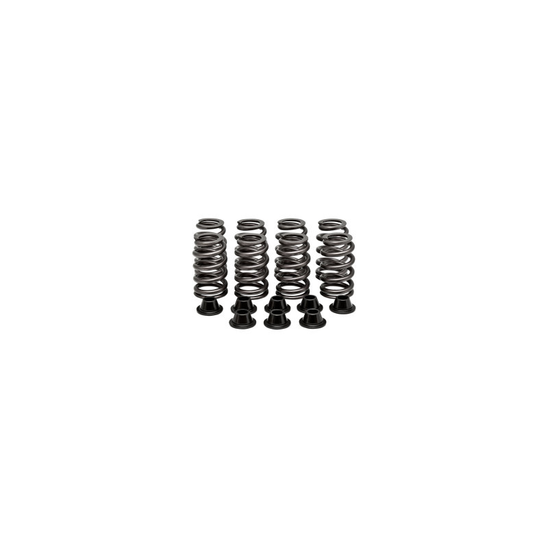Kit Ressorts De Soupapes RZR 1000 XP Polaris