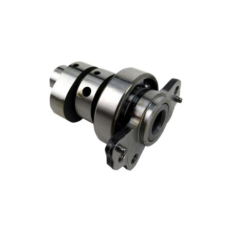 Arbre A Came HOT CAMS Stage 2 Yamaha 700 Raptor 2009 à 2014 YFM-R
