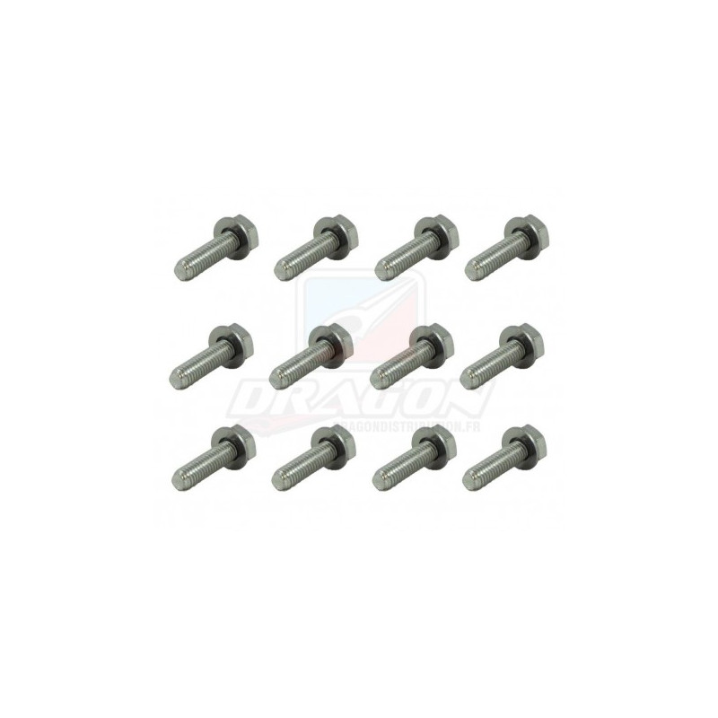 Kit Visserie Jante Beadlock 10 pouces Goldspeed