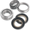Kit roulements de colonne de direction 450 DS Can Am