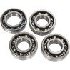 Kit Piston WSM Pour 700 Raptor Yamaha