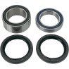 Kit Mono Roulement d'Excentrique KFX 450 R Kawasaki