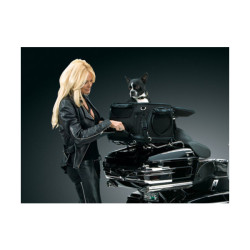 Sac Moto Animal de compagnie Palace