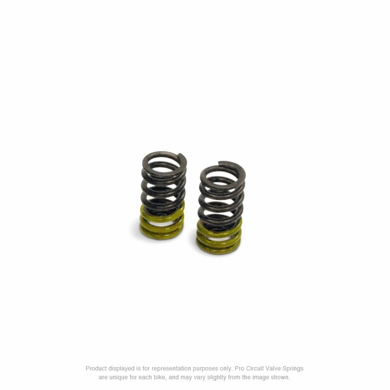 Ressorts de soupape PRO CIRCUIT