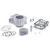 Cylindre en aluminium MALOSSI  Ø67 H2O 4T HONDA