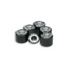 Jeu de galets MALOSSI 20x14,8 11,5g - 6 pièces