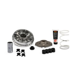 Variateur MALOSSI Multivar...
