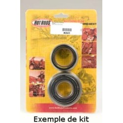 Kit roulements et joints...