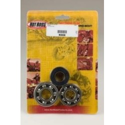 Kit roulements et joints...