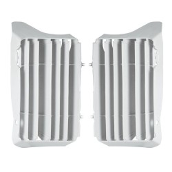 Ouïes de radiateur RACETECH...
