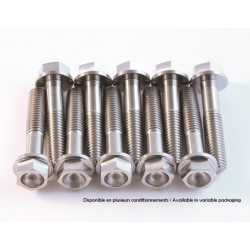 Kit vis titane SCAR M6x65...