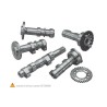 Arbre à cames HOT CAMS - Niveau 2 Suzuki RM-Z250