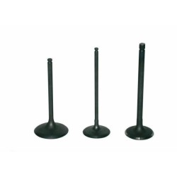 Soupape d'admission VERTEX...